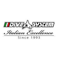 divesystem300_300